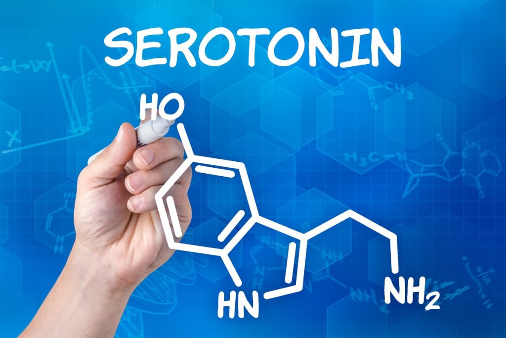 Serotonin hormonu